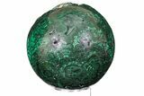 Large, Flowery, Polished Malachite Sphere ( lbs) - Congo #192008-1